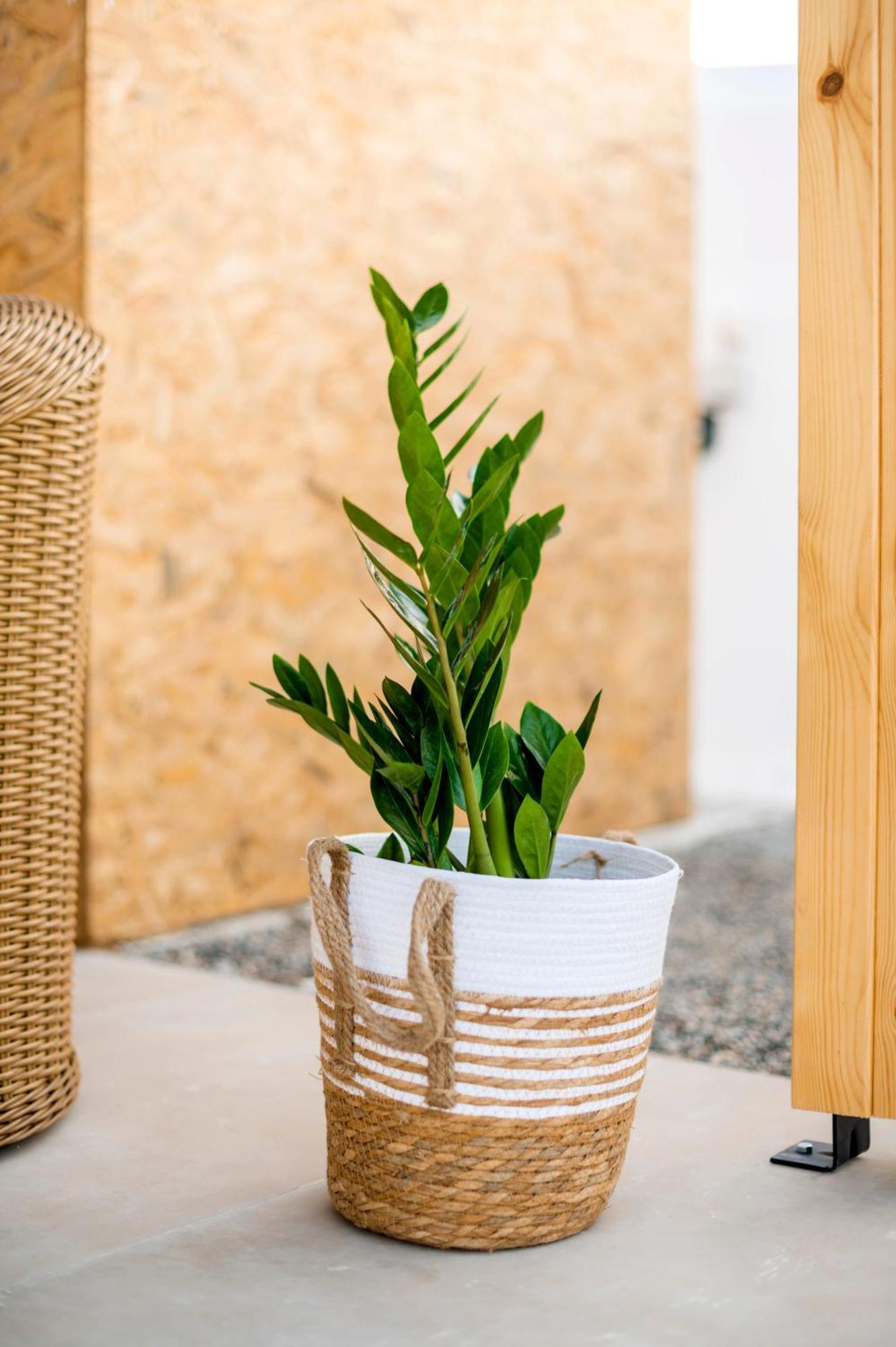 Villa Eleni Soroni Ngoại thất bức ảnh